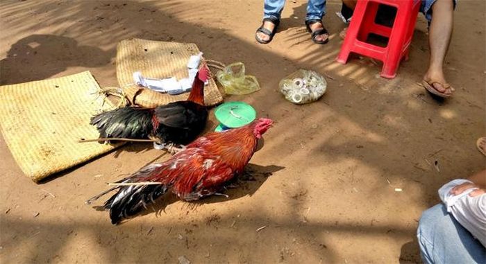 Tang vật được cơ quan chức năng thu giữ tại hiện trường. 