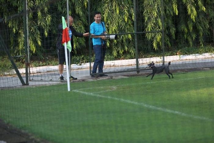 Trước buổi tập chú chó nhỏ của HLV Park Hang-seo bất ngờ chạy vào sân tập khiến ông thầy người Hàn phải "đích thân ra mặt" mới triệu hồi nó ra khỏi sân.