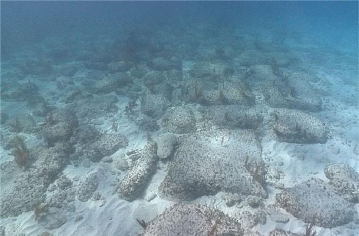  5. Bí ẩn Bimini - đường tới đảo Atlantis huyền bí. Năm 1968, người ta phát hiện một bức tường đá dưới nước gần phía đảo Bắc Bimini ở Bahamas. Bức tường này được hình thành từ những viên gạch đá vôi có hình chữ nhật, tạo nên hình dáng rất giống một con đường hoặc một bức tường thời cổ xưa. 