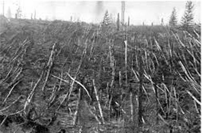  3. Vụ nổ Tunguska năm 1908 là một trong những vụ nổ bí ẩn nhất lịch sử cận đại. Khi đó, một vật thể chưa xác định đã phát nổ trên bầu trời Siberia, tạo ra xung động còn mạnh hơn 2.000 lần bom nguyên tử được thả xuống thành phố Hiroshima, Nhật Bản. Nó đã khiến cây cối trong bán kính khoảng 2.072 km2 đổ rạp. 