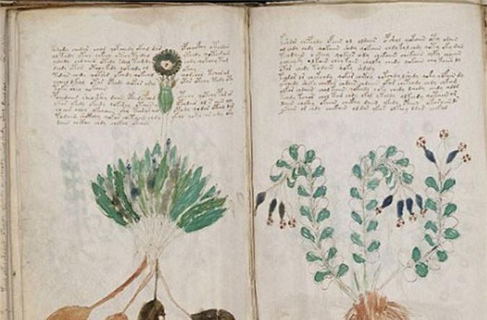  Voynich được viết bằng một loại ngôn ngữ mà con người vẫn chưa xác định được. Hàng trăm nội dung được viết trong cuốn sách đó vẫn chưa được giải mã. Những hình minh họa khó hiểu đã khiến một số người đưa ra giả thuyết về nguồn gốc và nội dung của nó. Thậm chí, một số cho rằng đó là trò bịp chứ không hề ẩn chứa thông điệp nào cả. Tuy nhiên, số khác lại tin trong sách hàm chứa nội dung quý giá mà các chuyên giải mã chưa tìm hiểu được. 