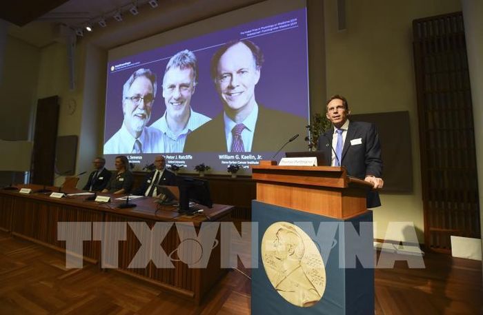 Thư ký Ủy ban Nobel Thomas Perlmann (phải) công bố giải Nobel Y học năm 2019 thuộc về William Kaelin, Peter Ratcliffe và Gregg Semenza, trong cuộc họp báo tại Stockholm, Thụy Điển, ngày 7/10/2019. Ảnh: AFP/ TTXVN