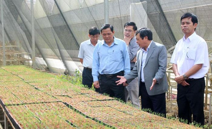 Đồng chí Đoàn Văn Việt - Phó Bí thư Tỉnh ủy, Chủ tịch UBND tỉnh thăm, làm việc tại Công ty TNHH MTV Lâm nghiệp Di Linh đầu năm 2019. Ảnh: T.Vũ