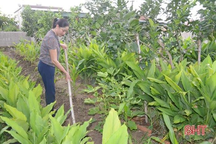 Thôn Nam Mỹ Lợi là nơi xây dựng CLB Nhà sạch, vườn đẹp đầu tiên của xã vào đầu năm 2018, đến nay đã phát triển lên 4 CLB với hơn 100 thành viên