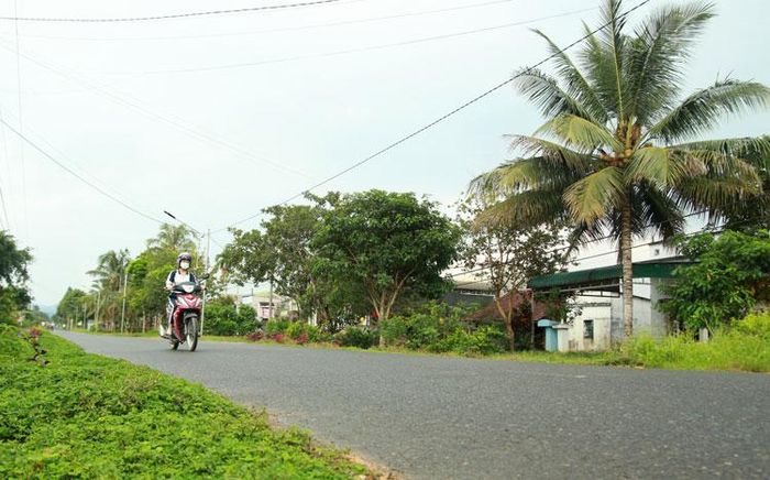 Tuyến đường hoa khiến bộ mặt nông thôn trở nên khang trang, đẹp mắt