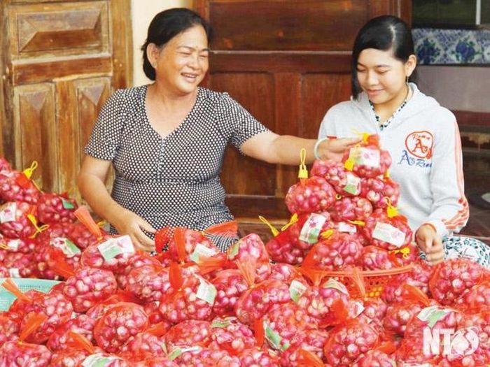 Hành tím - đặc sản nổi tiếng ở Hòn Đỏ, là món quà không thể thiếu khi có dịp đến đây. 