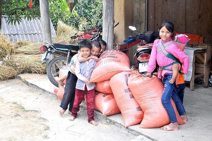 Trẻ em nô đùa bên những bao thóc thơm hương lúa mới