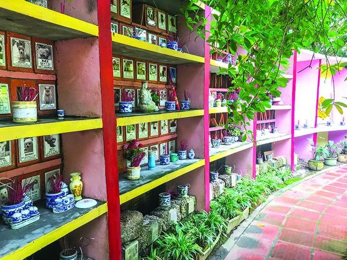Ông Sinh cho biết có khoảng 1.000 ngôi mộ chó mèo trong khuôn viên hơn 2.000m2 của mình Ảnh: Nhã Khanh