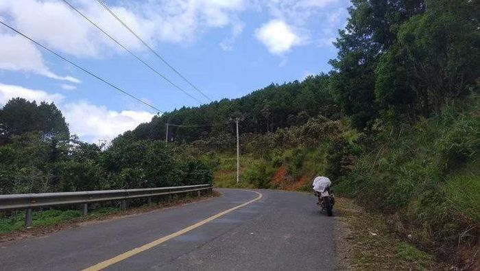 Địa điểm được các đối tượng chọn để tổ chức đánh bạc nằm vị trí hiểm trở giữa đèo Đại Ninh (ảnh: NLĐ).