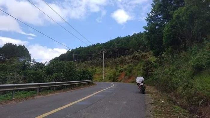 Khu vực rừng đèo vắng vẻ được chọn để tổ chức sòng bạc