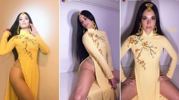 Trang phục biểu diễn gây tranh cãi của Kacey Musgraves. Ảnh: Internet
