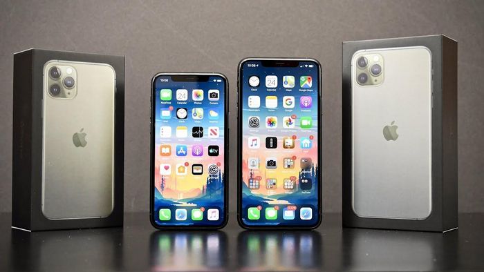 iPhone 11. Ảnh: DetroitBORG.
