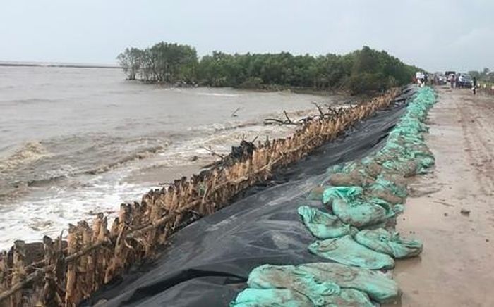 Gia cố đê bao phòng chống sạt lở