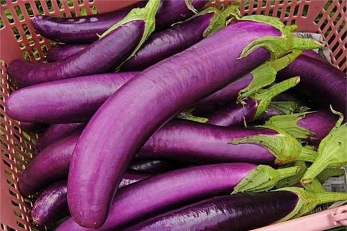 Cà tím chứa nhiều magiê có tác dụng phòng ngừa và điều trị chứng mất ngủ và sự bồn chồn lo lắng