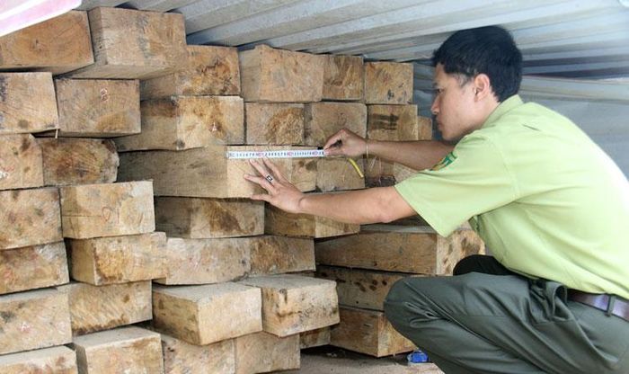 Cán bộ Kiểm lâm Đơn Dương kiểm kê tang vật gỗ của đối tượng vi phạm trên địa bàn