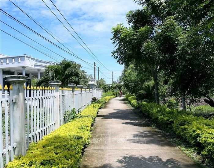 Đường giao thông nông thôn xã Tân Lộc, huyện Thới Bình được đầu tư xây dựng khang trang, sạch đẹp theo tiêu chí nông thôn mới. Ảnh: Vũ Sinh/TTXVN