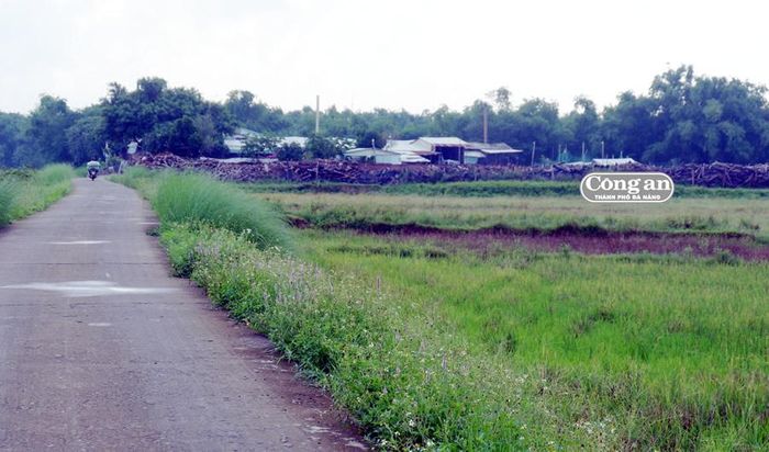 Nhà máy chế biến thức ăn gia súc của Công ty CP Đồng Tổ.