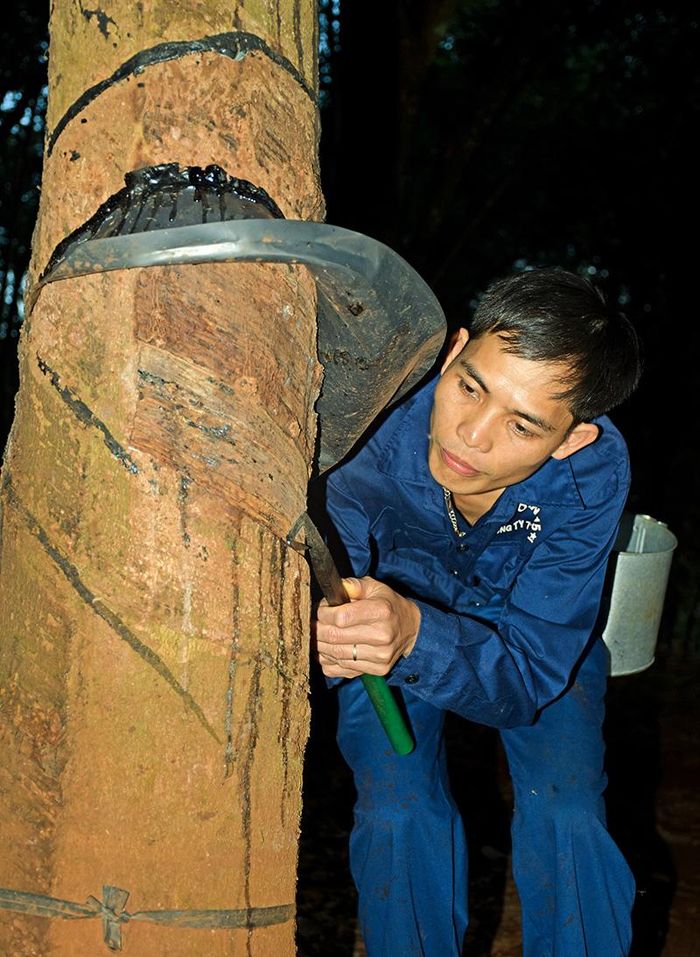 Nguyễn Trọng Báo luôn say mê, tâm huyết với những đường cạo.