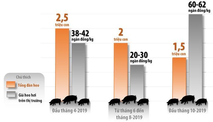 Đồ họa thể hiện sự thay đổi tổng đàn heo trên địa bàn tỉnh, diễn biến giá heo hơi trên thị trường từ đầu tháng 4-2019 (thời điểm trước khi xảy ra dịch tả heo châu Phi) đến đầu tháng 10-2019. (Thông tin: Bình Nguyên - Đồ họa: Hải Quân)