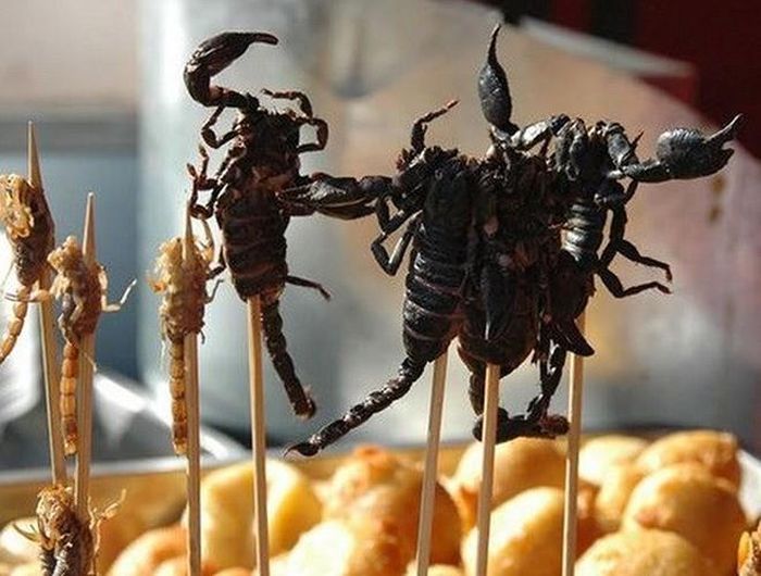 Trước khi chế biến, nọc độc ở đuôi bộ cạp được vô hiệu hóa. Sau đó chúng được chiên giòn và xiên que. Những con bọ cạp đen nguyên hình, bóng loáng dù đã chín thơm vẫn khiến không ít người rùng mình. Nhưng nếu vượt qua được nỗi sợ hãi, bạn sẽ thấy bọ cạp xiên rất ngon và giòn. Thậm chí, nhiều người còn tin rằng ăn bọ cạp chiên còn có tác dụng giảm đau hiệu quả