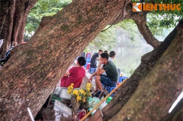 Rất nhiều người Hà Nội đã có kỷ niệm đẹp với cây lộc vừng 9 gốc. Những kỷ niệm đó sẽ không bao giờ mất đi, cũng như hình ảnh cây lộc vừng thân thương đã trở thành một phần ký ức lịch sử trường tồn cùng Hà Nội theo dòng thời gian.