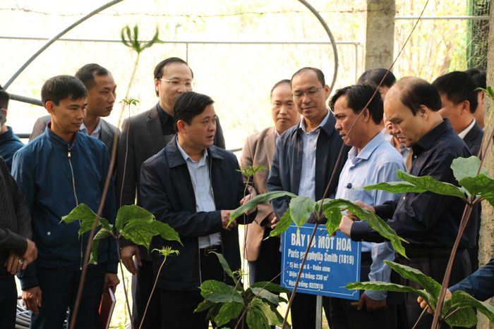 Lãnh đạo Sở KH&amp;CN tỉnh trao đổi với Chủ tịch UBND tỉnh Thái Thanh Quý về phát triển cây dược liệu trên khu vực miền Tây Nghệ An. Ảnh tư liệu Đào Tuấn