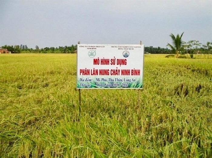 Do các đặc điểm ưu việt FMP Ninh Bình được cơ quan chứng nhận hưu cơ Úc chứng nhận là một sản phẩm đầu vào thích hợp cho nông nghiệp hữu cơ tại quốc gia này. Ảnh: Internet.