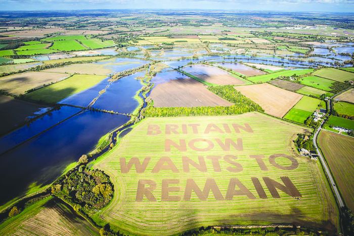 Thông điệp chống Brexit trên cánh đồng ở hạt Wiltshire, Anh quốc.