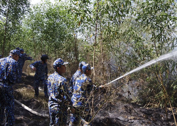  Cán bộ, chiến sĩ Căn cứ 696, Vùng 2 Hải quân tham gia chữa cháy rừng tại huyện Nhơn Trạch, tỉnh Đồng Nai (CTV).