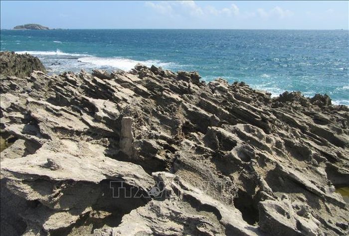 Rạn san hô cổ hóa thạch do sóng biển bào mòn tạo thành nhiều hình dáng lạ mắt.