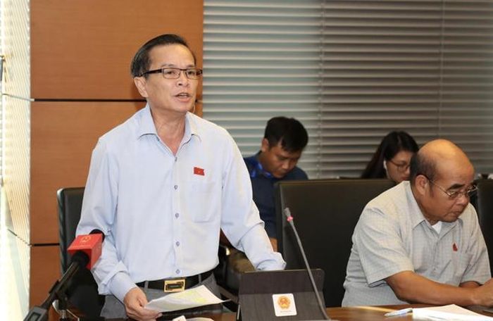 Đại biểu Võ Đình Tín phát biểu chiều 29-10.