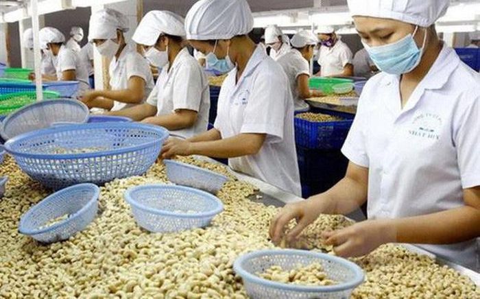 Kim ngạch xuất khẩu nhiều mặt hàng nông sản tiếp tục giảm so với cùng kỳ năm trước