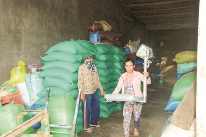Vốn tín dụng, Quỹ tín dụng nhân dân Hòa Khánh (Đắk Lắk) giúp thành viên làm giàu
