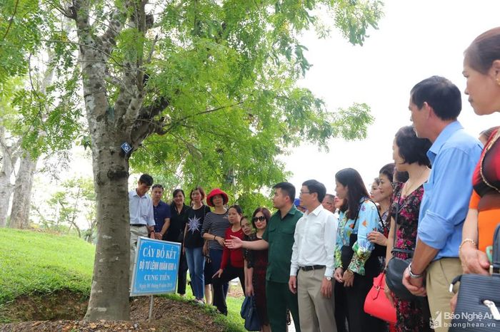 Du khách tham quan hệ thống cây xanh tại Khu di tích lịch sử Truông Bồn. Ảnh: Phước Anh