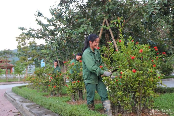 Công nhân chăm sóc cây xanh tại Khu Di tích lịch sử Truông Bồn. Ảnh: Phước Anh