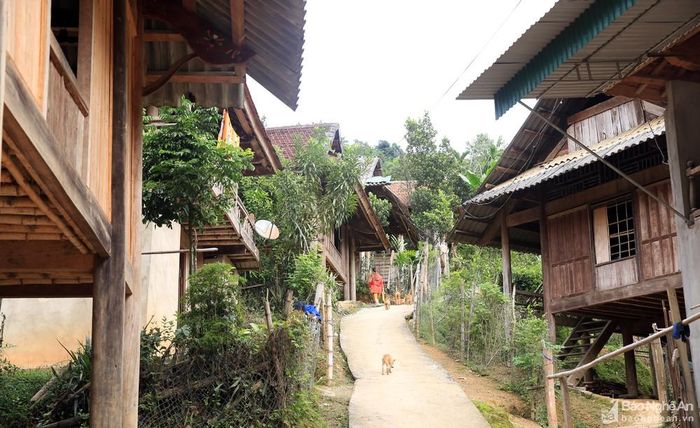Bản Hạt, xã Yên Tĩnh, huyện Tương Dương là nơi quần cư của người đồng bào Thái, cả bản có hơn 200 hộ dân với gần 800 nhân khẩu. Đây là bản có số hộ dân và nhân khẩu nhiều nhất xã Yên Tĩnh. Người dân bản Hạt vẫn còn giữ được nhiều nét văn hóa đậm bản sắc của người Thái như tục ăn cơm mới (Khầu Nừng), tục ăn vía... Ảnh Hồ Phương