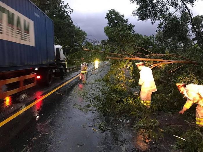 Các lực lượng chức năng giải phóng tình trạng cây đổ trên QL 1 từ Quảng Nam ra Đà Nẵng (ảnh: PLVN).