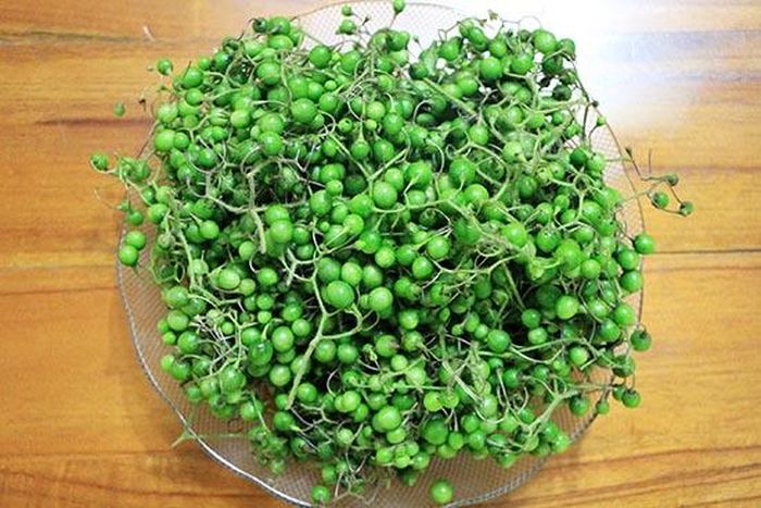 Mắc nhung tươi, sạch được bà con thu hái sau vụ lúa mùa.