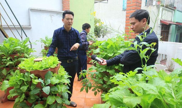 Mô hình tháp rau hữu cơ tại Hà Nội. Ảnh: Chiến Công
