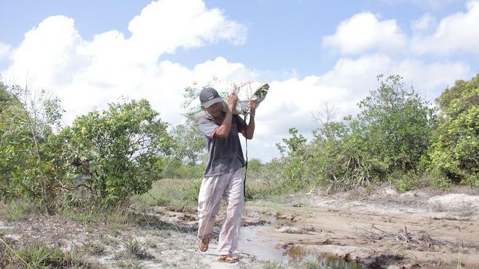 Người dân nơi đây, làm ruộng trồng lúa, trồng hoa màu vẫn là nghề chính, công việc đi hái lá tràm chỉ là nghề phụ, nhưng đem lại thu nhập khá ổn định cho nhiều hộ gia đình