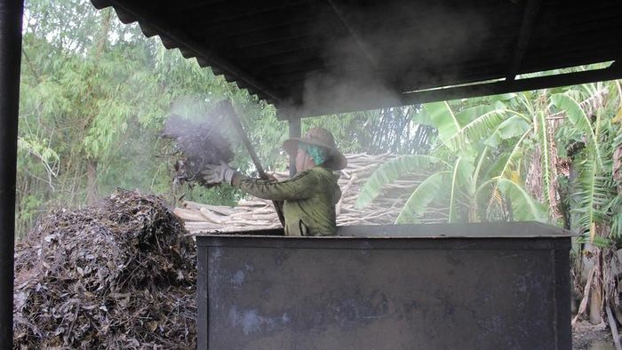 Nhận thấy lợi thế về nguồn nguyên liệu có sẵn cùng đầu ra sản phẩm được ưa chuộng, hiện nhiều hộ trong thôn đã mạnh dạn đầu tư mở cơ sở để sản xuất tinh dầu tràm. Thu nhập bình quân từ việc nấu tinh dầu mỗi ngày 500. 000 đồng/người