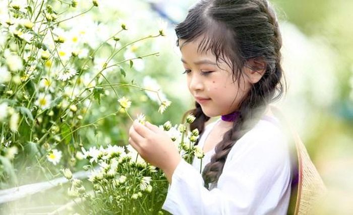 Được biết, mỗi một mùa họa mi chỉ kéo dài 2-3 tuần, tuy nhiên, thời gian hoa nở rộ và đẹp nhất thường chỉ khoảng 1 tuần. Năm nay, theo nhiều nhà vườn, đến gần giữa tháng 11, hoa sẽ nở đẹp nhất