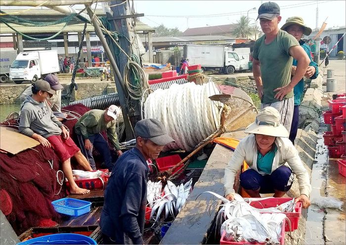 Sau chuyến đánh bắt cuối tháng 9 âm lịch, các tàu đánh bắt xa bờ ở Phú Vang bước vào kỳ nghỉ đông
