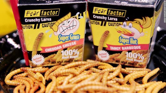 Chương trình truyền hình Fear Factor ở Mỹ từ năm 2001-2006 đã cho ra mắt nhiều món côn trùng sáng tạo. Món kẹo Crunchy Larva này đã ra mắt đến 3 hương vị khác nhau vào năm 2005. Cục Quản lý Thực phẩm và Dược phẩm Mỹ cũng đã cho phép có 30 bộ phận của côn trùng trong một thanh chocolate.