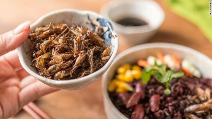 Dế chiên giòn có vị thơm và ngon đến khó tin. Nếu bạn đang tìm kiếm một bữa ăn sáng đầy đủ dưỡng chất, có thể thử ăn kèm dế chiên với bánh mì.