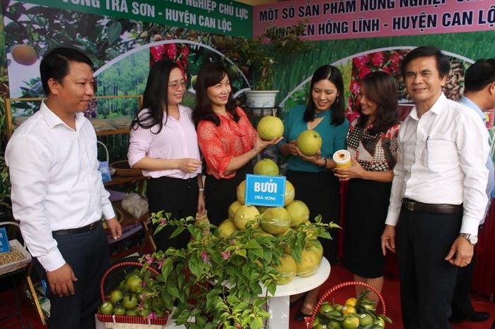 Giới thiệu cam, bưởi – sản phẩm có giá trị cao của Can Lộc tại Hội nghị toàn quốc tổng kết 10 năm xây dựng NTM tại Nam Định 