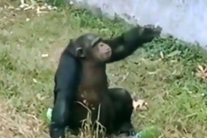 ...sau đó quẳng nó sang một bên