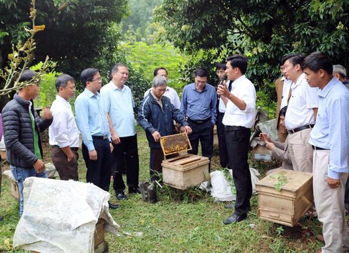 Các đại biểu tham quan mô hình nuôi ong tại xã Xuân Quang.