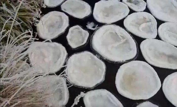 Cận cảnh những chiếc “bánh” độc đáo.