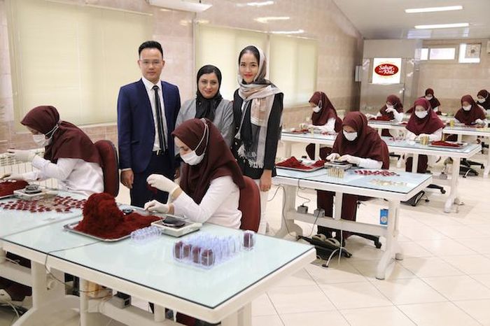 Thương hiệu Saffron Saharkhiz, thương hiệu Saffron lâu đời nhất Iran (1932), kinh đô của “vàng đỏ” Trung Đông.